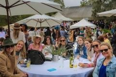 Wine Tasting Tours