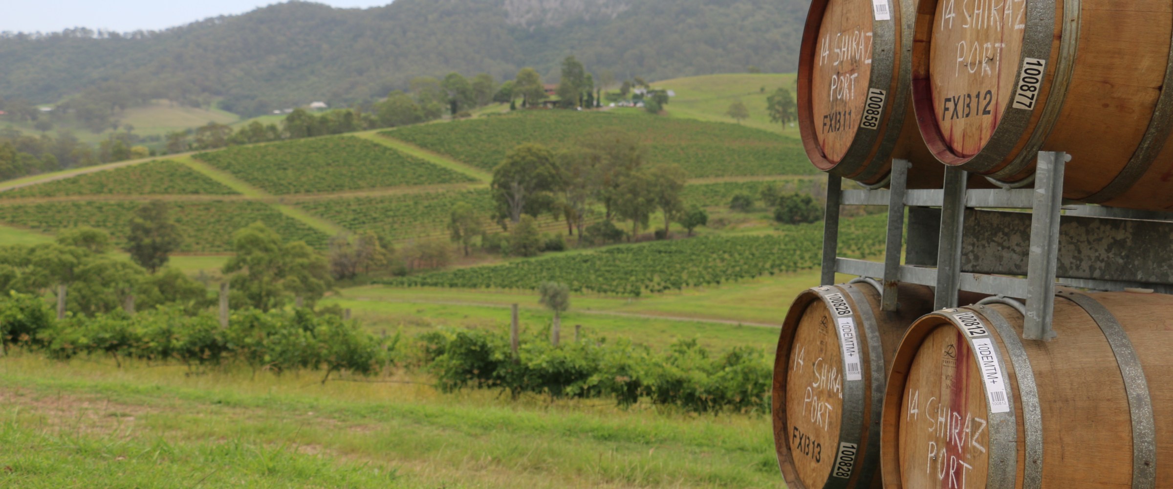 Private Wine Tasting Tours Hunter Valley