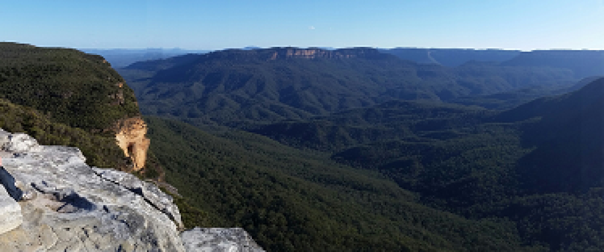 Private Wine Tasting Tours Hunter Valley