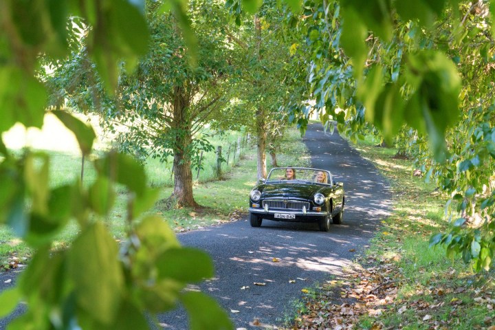 a car driving down a street next to a tree