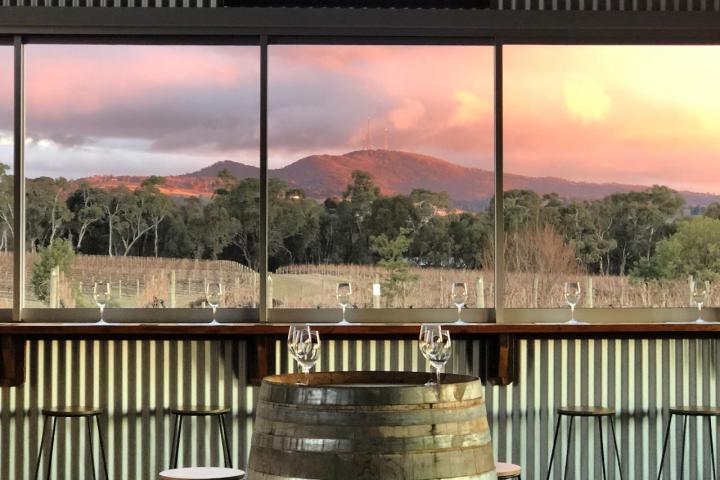 a bench in front of a fence